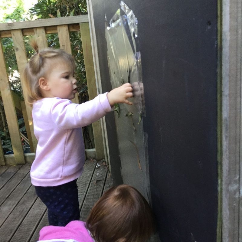 Exploring nature through the sticky wall